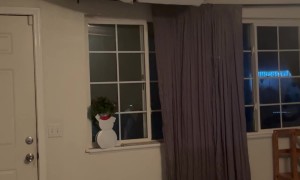 Wife’s Warns Husband Seconds Before Ceiling Collapse