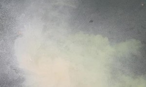 Returning Aunt Janet To The Water