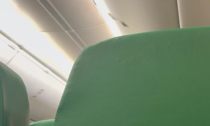 Flight Attendant Announces Plane Can't Land During Drone Incident In Brussels