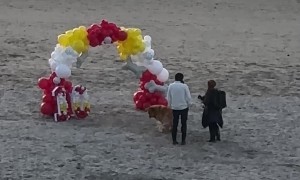 Dog's Sunset Birthday Celebration At Cannon Beach