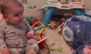 Baby Doesn't Like Stitch