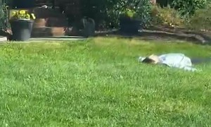 Your Sister Who Lives in NYC Comes Back Home for the Holidays