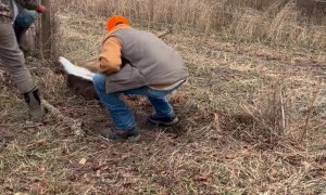 Three Guys Rescue a Deer Stuck in a Fence