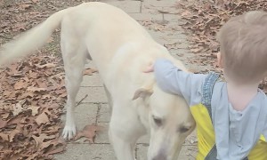 Little Overalls Fall Off