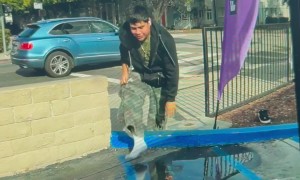 Unexpected Slip Caught on Dashcam