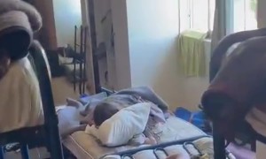 Folding Bunk Bed Collapses While Occupied