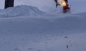 Black Lab Taking on the Snowblower