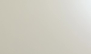 Rescuing a Cat From a Stretch Ceiling