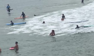 Dog Living His Best Life At Ipanema Beach