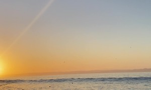 Thrown Flip-Flop Hits Stranger's Head