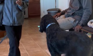 Welcoming Our Newest Family Member