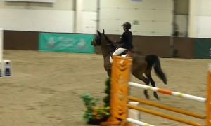 Rider Cartwheels Off Horse
