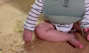 Spilled Food Doesn't Bother Boy