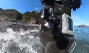 Guy Tries to Remove an Octopus From His Back