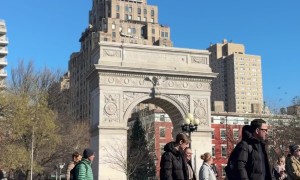 NYC Pigeon Commander