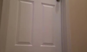 The Things Cats Do When We're Not Looking