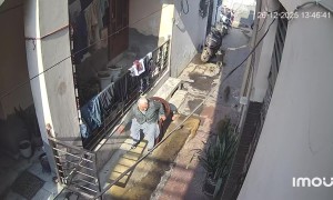 Monkey Attacks Elderly Woman