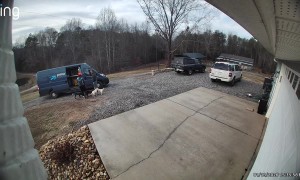 Pack of Cattle Dogs Excited to See Delivery Guy