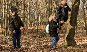Woman Falls From Tree Swing