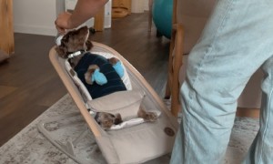 Dad Practices On Family's First Baby
