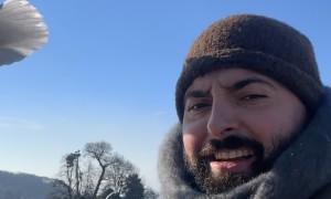 Seagulls Accept Him as One of Their Own