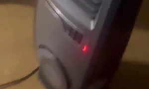 Flaming Shot Gone Wrong