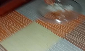 Federico the Chicken Eats With the Family