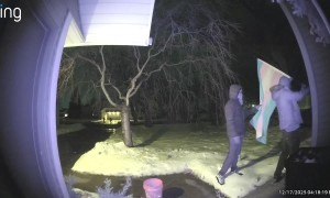 High Schoolers Steal Transgender Pride Flag