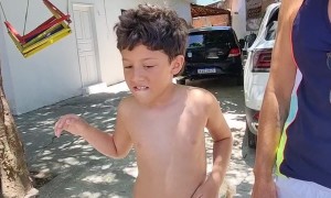 Adopted Puppy Delivered By Bicycle Basket