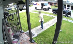Delivery Driver Startled by Pocket Bully