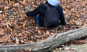 Rope Swing Snaps And Squashes Backpack Picnic