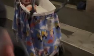 Clown Baby Street Performer In Rome