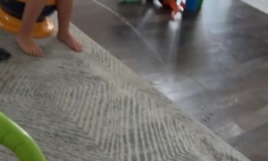 Misguided Potty Training Attempt