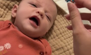 Baby Trying Nerds Gummy Cluster