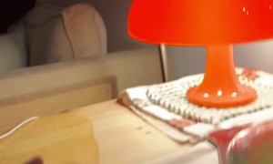 Cat Spills Catnip Tea