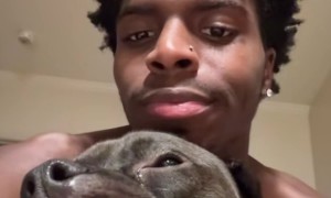 Owner Mimicking Silly Dog Face