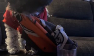 Why’d I Have to Say It?