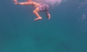 Swimming With a Whale Shark