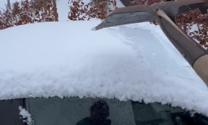 Guy Shovels Snow Off His BMW