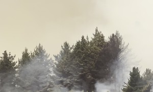 Ten Tanker Drops Fire Suppressant Chemicals on Fire in Chile