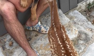 Buttons and Banjos First Meeting