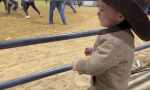 When a 2 Year Old Is the Bulls Biggest Fan