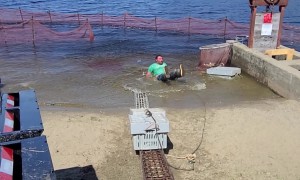 Rope Snaps and Man Takes a Dip