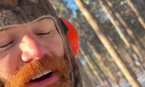 Tree Explodes in Freezing Temps