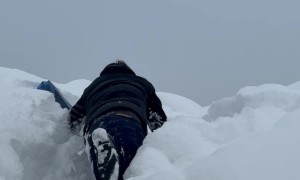 My Son Fell in the Snow