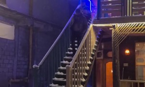 Epic Snowy Staircase Slip