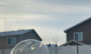 Instant Crystal Bubbles on a Cold Morning