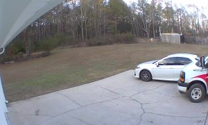 Delivery Hit and Run