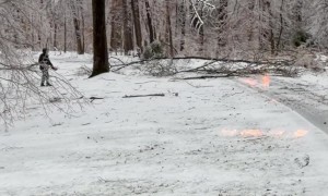 Man Not Listening to Wife’s Warning to Stay Away From Falling Limbs in Ice Storm