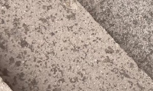 Crow Tries To Take Boy's Pom-Pom Hat